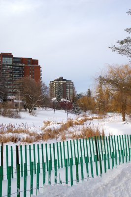 IMGP8034.JPG