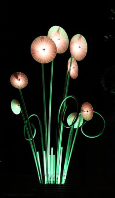 'Garden Of Light' by TILT
