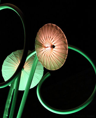 'Garden Of Light' by TILT