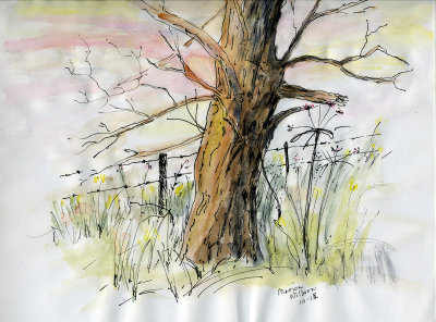 Landscapes
