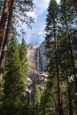 Yosemite NP