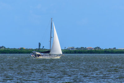 Sail Boat