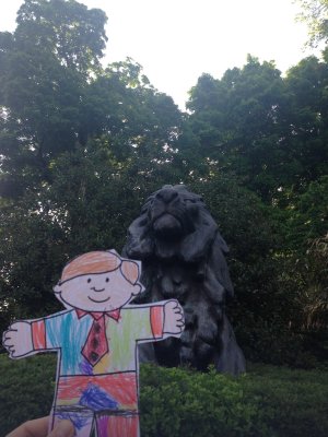 Zoo Lion