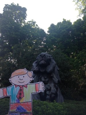 Zoo Lion 2
