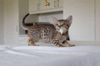 Mine!