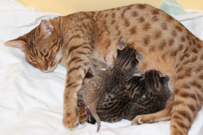 Enjoying motherhood