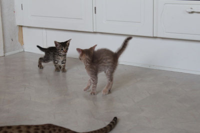 Trying to scare sis ;)