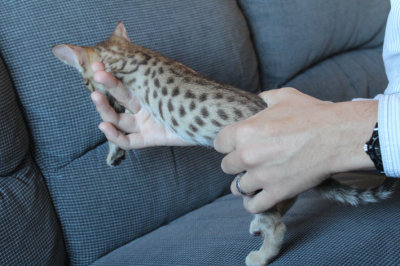 Nice spots