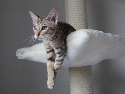 Watching the birds outside