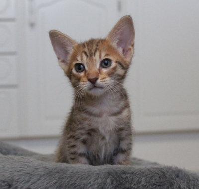 Just so cute