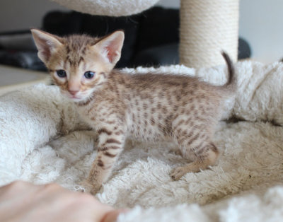 Cutie pie!