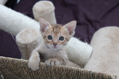 Want to come up for a cuddle
