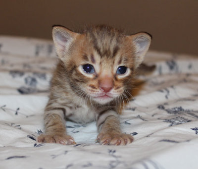 Cutie pie! :)