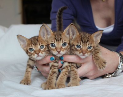 Girl nr 2 from left, then nr 1 and the male