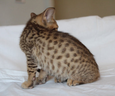 I can show off my spots too