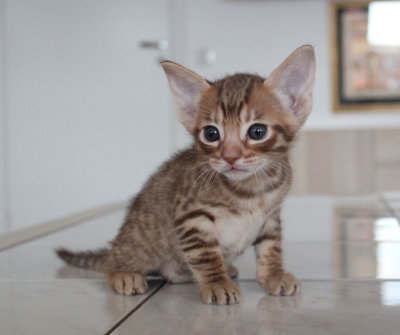 Little cutie
