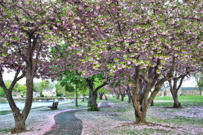 342, Harbor Island Park, Mamaroneck