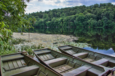 365, Wampus Pond, Armonk