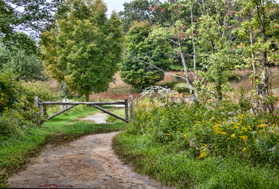 379, Ward Pound Ridge Reservation, Pound Ridge