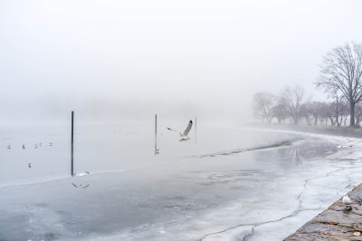 425, Mamaroneck Harbor