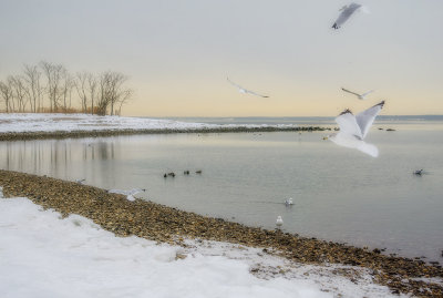 460, Long Island Sound, Rye