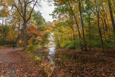 489, Rockefeller State Park