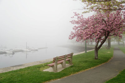 499, Harbor Island Park, Mamaroneck