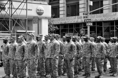 Veterans Day Parade