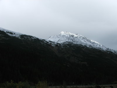DSCF9582.JPG
