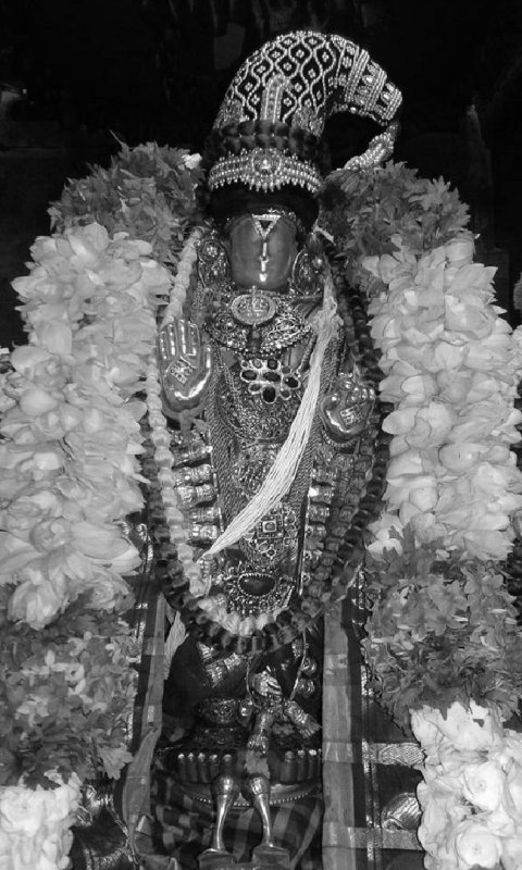 Sholingur-sri-lakshmi-narasimhaswami.jpg