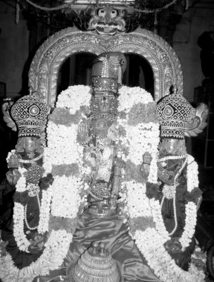 Chithirai Rohini - Kanchi Sri Ashtabujam Swamy Avathara Uthsavam (12/5/2013)