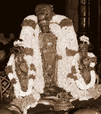 Kanchi Brahmothsavam  -    Sri Perarulalan Thiruther Uthsavam