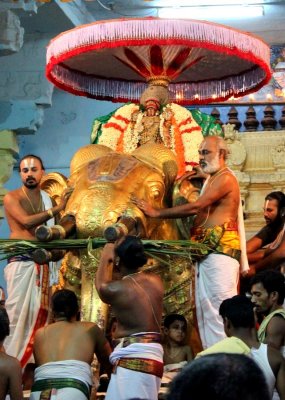 Kanchi Brahmothsavam 27/05/2013 - Monday - Day6 Evening - Sri Perarulalan @ Yanai Vahanam