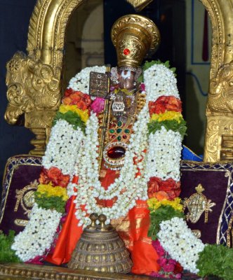 Perumal Kovil Sri Manavala Mamunigal Aadi Thiru Moola Uthsavam - Masa Thirunakshathram
