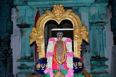 Sri Prathivathi Bayangaram Anna Swamy Varushothsavam - Kanchipuram - Day8
