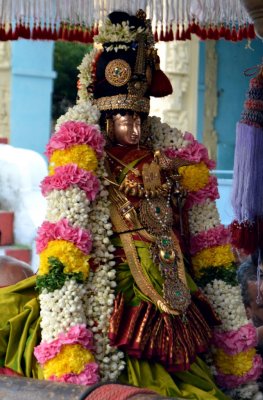 Thiru Adipooram uthsava Oorkolam - Perumal Kovil
