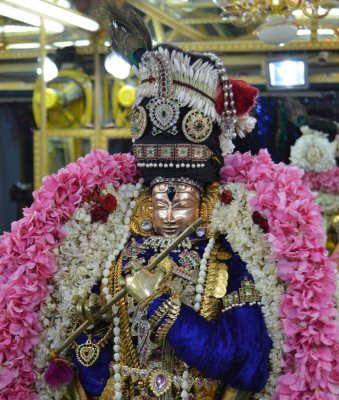 Thiru Velukkai Navarathiri Uthsavam - Day4