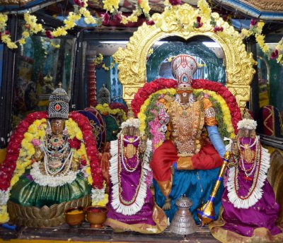 Sri Maragathavalli Thayar Sri Pachai Vannan Navarathiri Uthsavam Day3