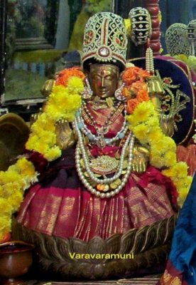 IMG_0133_1.jpg