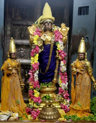 Sri Perarulalan Thula Masa Amavasai Purappadu - 2013