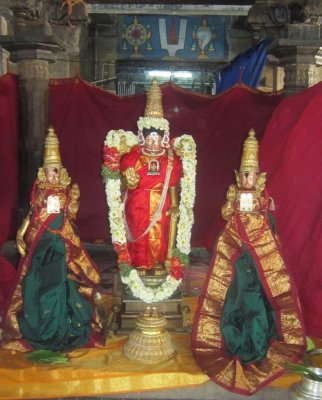 Thiruthther Prathishtai (Vijaya-Maasi)