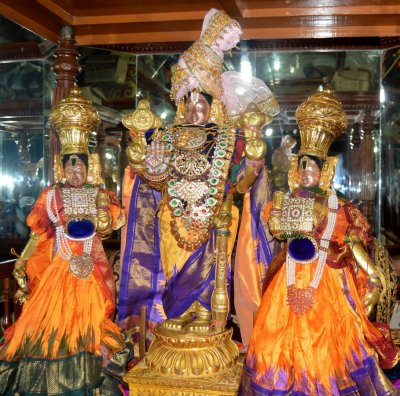 Thirupputkuzhi Brahmothsavam Day6  Night : Serthi Arai Sevai