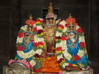 IMG_5820-Tiruvayindrapuram-Sri Devanathan.JPG