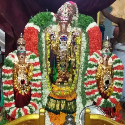 Panguni Utsavam Day 7  (Thiru Ther)