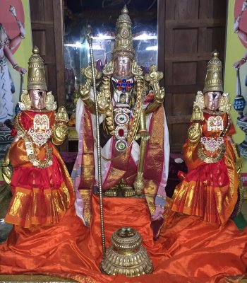 Panguni Brahmotsavam Day 8