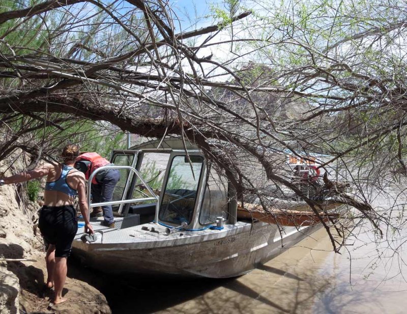 Our rental boat arrives to take the kayaks!