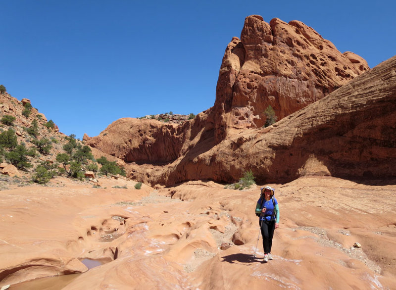 Potholes in Lower Muley Twist