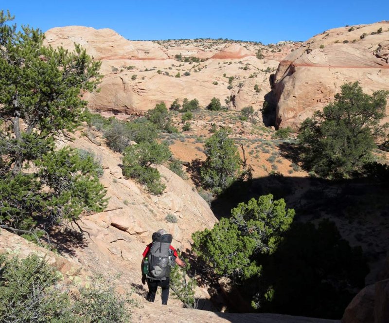 Descending into Stevens Canyon