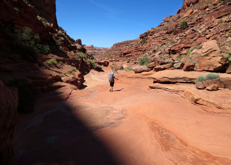 Down in the canyon bottom