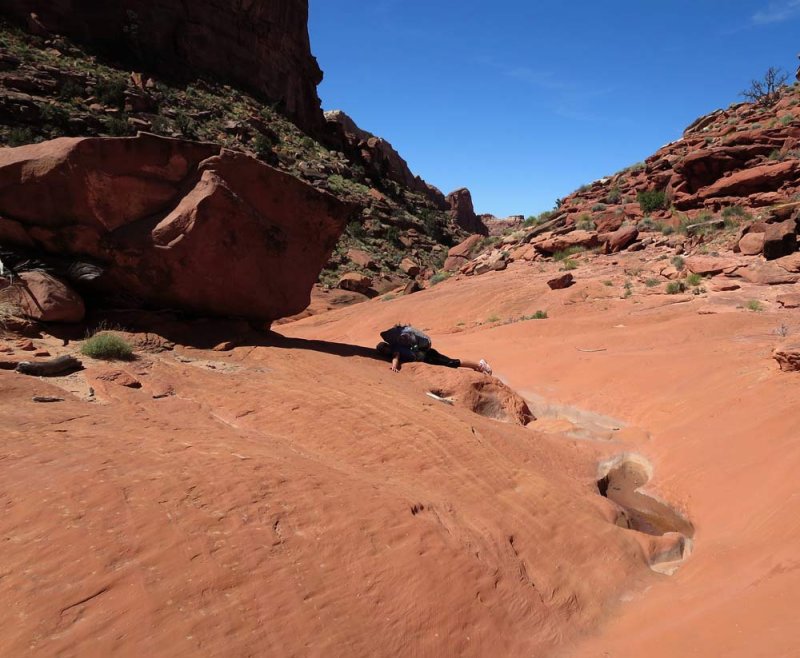Loving the red rock!
